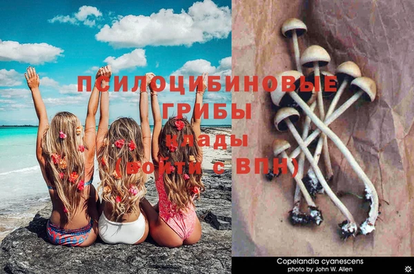 герыч Балахна