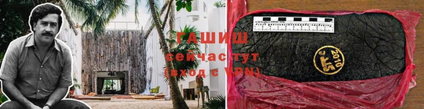 ПСИЛОЦИБИНОВЫЕ ГРИБЫ Белоозёрский