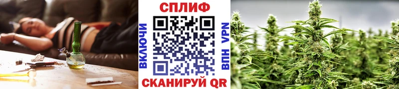 Бошки марихуана THC 21%  Рудня 
